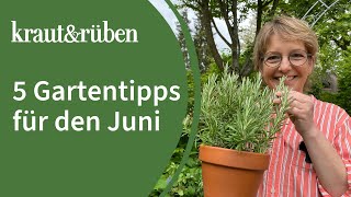 Gartentipps für Juni Tomaten pflegen und Blattläuse bekämpfen [upl. by Origra449]