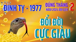 Tử Vi  Tháng 22024 ÂL  Đinh Tỵ 1977  Đi Ngược Cuộc Đời  Rũ Sạch Bùn Đen  Đổi Đời Cực Giàu [upl. by Yelhsa]