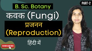 Fungi in Hindi  प्रजनन Reproduction  Botany [upl. by Wichman703]