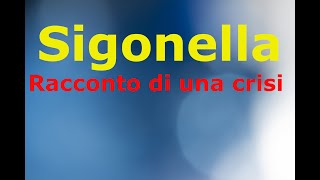 La Crisi di Sigonella La Storia Siamo Noi [upl. by Nomar]