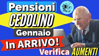 PENSIONI 👉 CEDOLINO GENNAIO CON GLI AUMENTI IN ARRIVO❗️Verifica NUOVI IMPORTI NETTI della pensione ✅ [upl. by Yenrab]