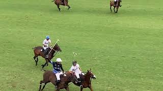 POLONETAR  131º Campeonato Abierto Argentino de Polo Day 8 Ellerstina defeated La Ensenada 14 [upl. by Dodd]