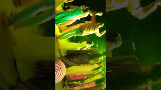 RajniMehraOfficial dancevideo khorthasong [upl. by Means]