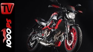 Yamaha MT07 Moto Cage  Preis Technische DatenDetails [upl. by Uahc]