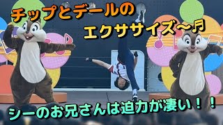 【ジャンボリミッキー！】チップとデールのエクササイズ～♬ シーのお兄さんは迫力が凄い！！ 東京ディズニーシー insta360x4 [upl. by Zarger]