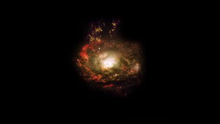 Circinus Galaxy  A Visual Wonder [upl. by Ydaj]