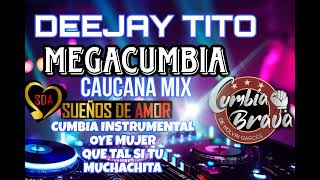 Cumbia instrumental Remix MEGACUMBIA CAUCANA MIX DJ TITO 2023 [upl. by Serdna393]