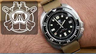 Steeldive SD1970 Seiko Willard Homage I The Best Dive Watch Under 100 [upl. by Crow]