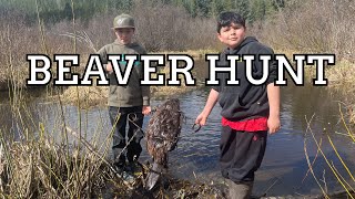 Hunting Beavers With 330 Conibears trapping beaver hunting [upl. by Greenquist948]