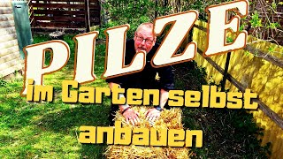 Pilze im Garten selbst anbauen Braunkappen Kräuterseitlinge Limonenpilze und Austernpilze [upl. by Garold]