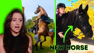 IM GETTING A NEW HORSE 2Raw2Ride Update amp MORE  Raleigh Reacts [upl. by Ma]