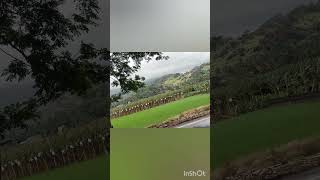 🌴🌴Kerala viewsong nature love  beautiful beautiful view 😍😍 raise farme😘😘🦋🌴🌴 [upl. by Ruhtracm83]