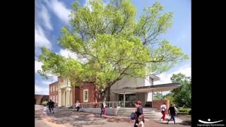 Gregory Burgess Architects  Healesville Memorial Hall Refurbishment [upl. by Renell111]