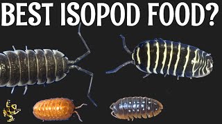 The Best Isopod Food [upl. by Showker]