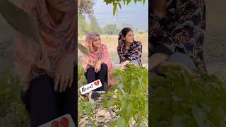 Mewati video 📷 love live song newsong kaifsingermewati newmusic mewatisinger [upl. by Adnical]