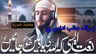 Heart Touching Nasheed Har Ik Janib Udasi Hay Na Jane Kia Ye Alam Hai Hamza Naat Studio [upl. by Eeleimaj]