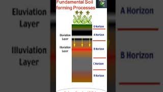 Soil Science Eluviation Illuviation Soil forming Process [upl. by Arhat]