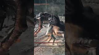 Dark Souls 3  Lorian Príncipe Mais Velho Lothric Príncipe Mais Jovem  NG7 [upl. by Sterrett777]