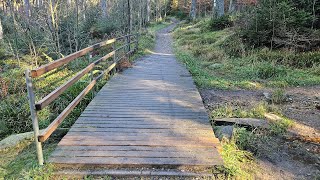 Wanderung auf dem Limeserlebnispfad 22 [upl. by Rayham]