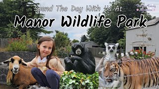 Tiger Cub and So Much More At Manor Wildlife Park Pembrokeshire manorwildlifepark [upl. by Adnuahsal133]