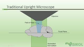 Light Sheet Tutorial [upl. by Suinotna]