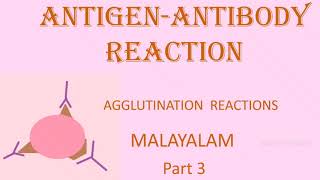 AGGLUTINATION REACTION ANTIGENANTIBODY REACTION PART 3 MALAYLAM [upl. by Nairot]