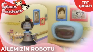 Canım Kardeşim  Ailemizin Robotu [upl. by Ahcurb]