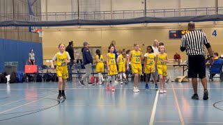 STMA Shootout Classic Wayzata 43 Girls Basketball [upl. by Nuncia]