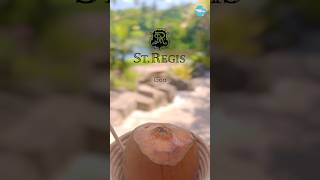 St Regis Resort South GoaMobor Beach Cavelossim shorts goa vacation [upl. by Arriek]