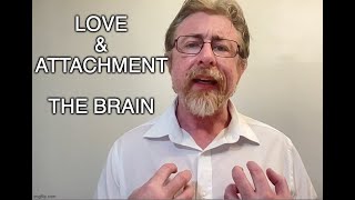 Love amp attachment 5  The Brain [upl. by Suivatco918]