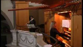 claudioferrarini LvBeethoven Adagio woO 33 [upl. by Alim938]