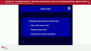 Ischemia reperfusion injury and cardioprotection [upl. by Yelrahs]