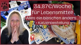 SPAREN Wocheneinkauf 3487€ 😨 KNAPPE Sache  Katzenbest foodhaul budgetplanung vlog minimalist [upl. by Inama]