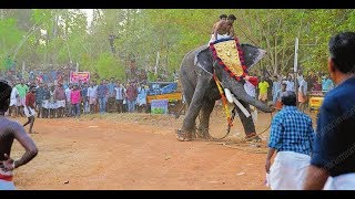 Elephants On Festivals  Kerala [upl. by Ttirb981]