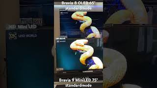 Sony Bravia 8 Oled vs Sony Bravia 9 MiniLed 2024 [upl. by Ahsonek]