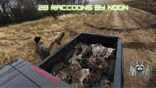 Raccoon Hunting How many Raccoons can We Shoot in 1 DAY🦝🦝🦝 [upl. by Scurlock]