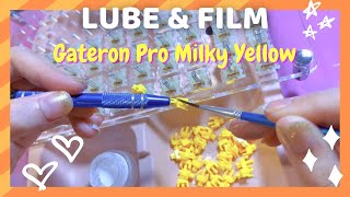 How to lube amp film switches  ft Gateron Pro Milky Yellow [upl. by Kingsly]