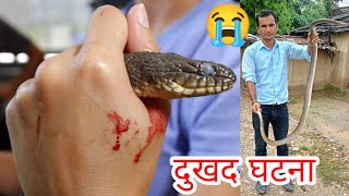 🐍 पूजा कोठा भित्र भेटियो मान्छे टोक्ने सर्प nepal snake rescue team [upl. by Case]