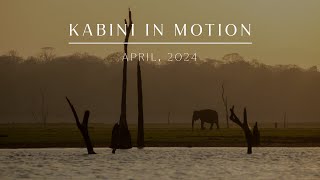 Kabini in Motion  April 2024  Evolve Back Kuruba Safari Lodge [upl. by Niran]