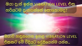 ඔයාගේ vibration level එක හරියටම දැනගන්න What is your vibration level  Sinhala motivation video [upl. by Chouest]