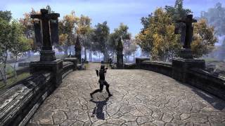 ESO Archer animation 15 patch [upl. by Reggi]