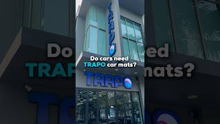 Do cars need TRAPO car mats [upl. by Ynnav]