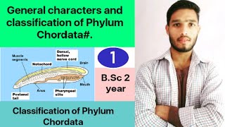 General characters and classification of Phylum Chordata  BSc 3rd Year Zoology 5th Sem 2nd paper [upl. by Cartie]