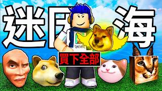 ROBLOX 迷因海！我要收集所有的貓貓狗勾迷因！買下所有道具🥵1小時快速升級到600等！【Meme Sea 模擬海  有感筆電】 [upl. by Philipps]