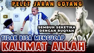 PELET JARAN GOYANG  TIDAK BISA MENGUCAP KALIMAT ALLAH SEMBUH SEKETIKA DENGAN RUQYAH [upl. by Ruscher]