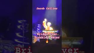 Jacob Collier Bridge Over Troubled Water Live shorts jacobcollier bridgeovertroubledwater [upl. by Nylyak]