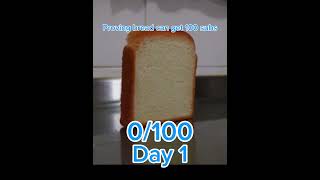 Proving bread can get 100 subs day 1 [upl. by Ahseela]