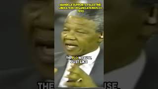 Mandela on Self Determination and the PLO [upl. by Stanford]