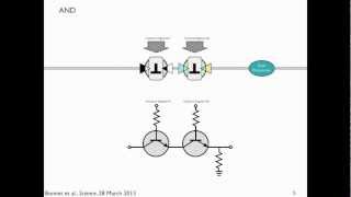 Transcriptors amp Boolean Integrase Logic BIL gates explained [upl. by Iznek79]