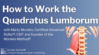 How to Work the Quadratus Lumborum [upl. by Ecirtam]